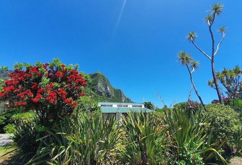 Отель Punakaiki Beach Camp