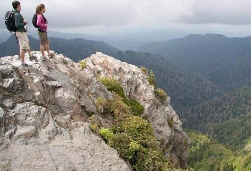 Mountain Dew   2 Bedrooms, 2 Baths, Sleeps 4 Cabin By Redawning