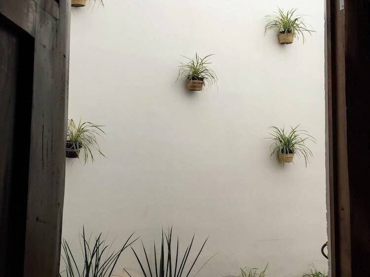 膳宿费 Casa Tulita Valladolid