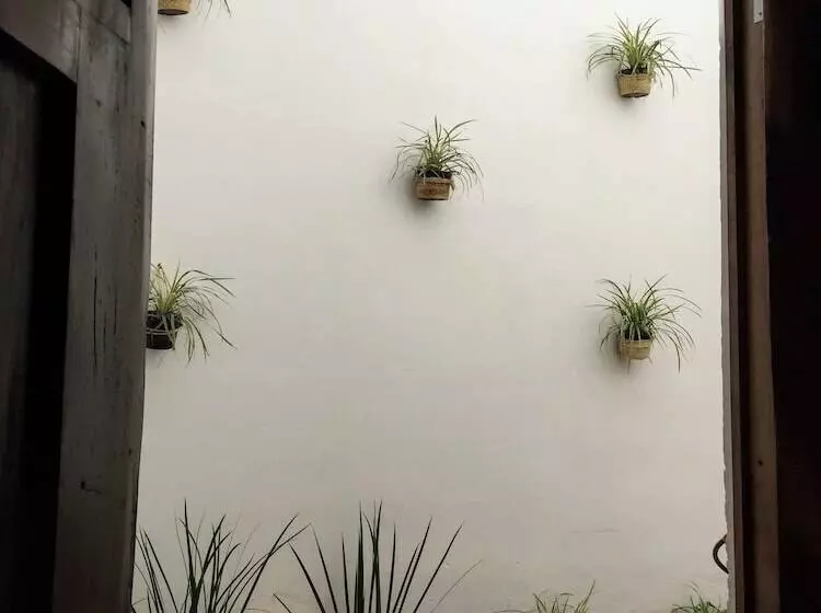 Majatalo Casa Tulita Valladolid