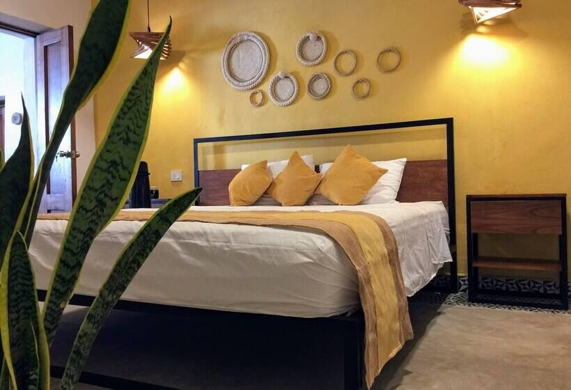 膳宿费 Casa Tulita Valladolid