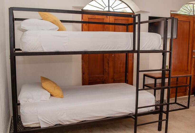 膳宿费 Casa Tulita Valladolid