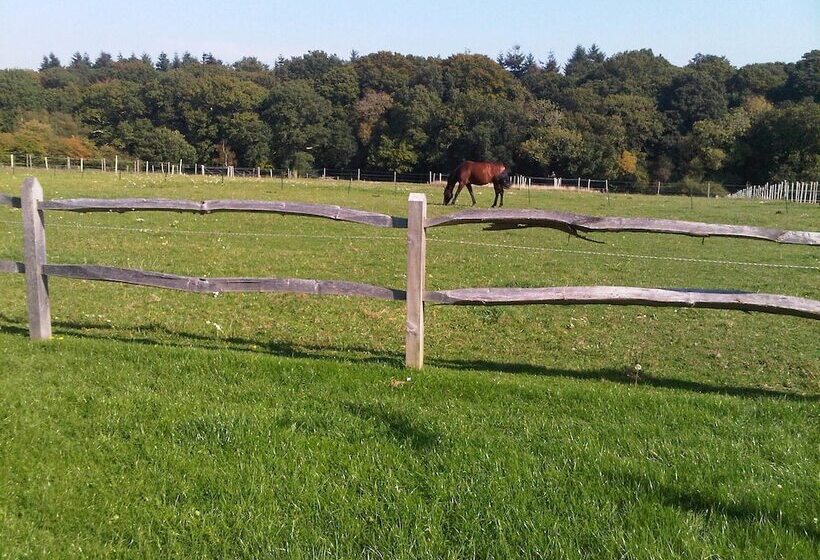 펜션 The Old Dairy Farm