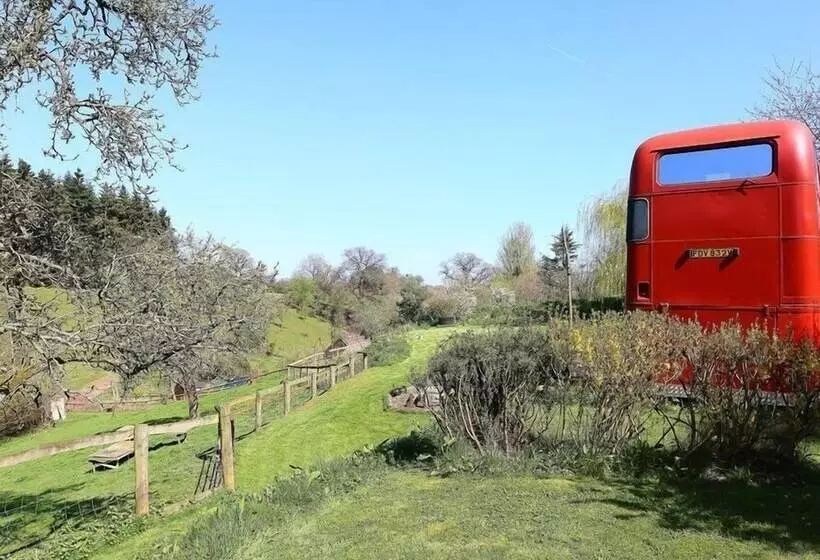 The Red Bus!