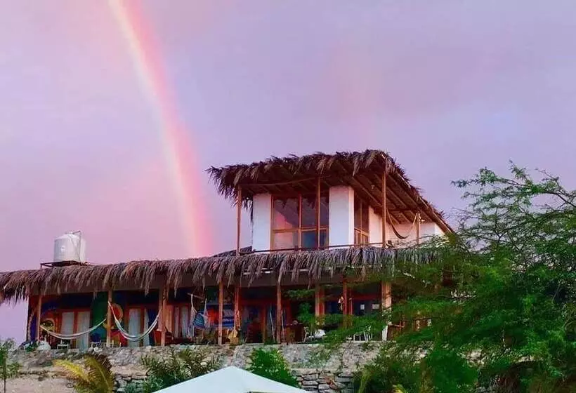 Tiki Surf House   Hostel