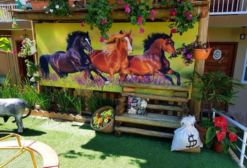 בית מלון כפרי Pousada Alegria Do Cowboy