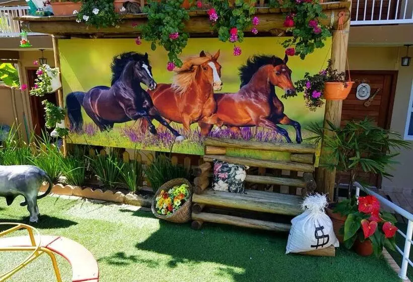 ホテル Pousada Alegria Do Cowboy