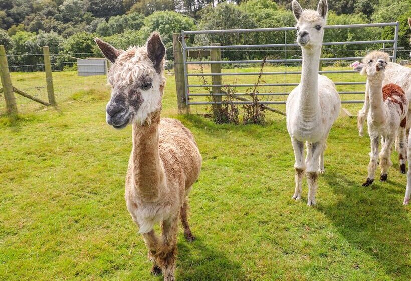 Shepherds Hut The Hurdle