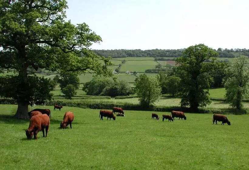 Whitehall Farm Cottage