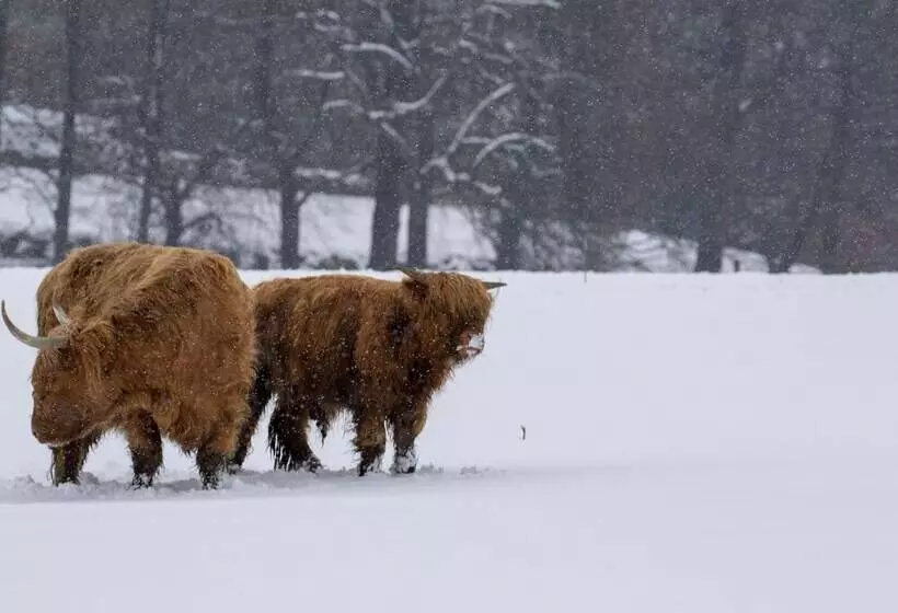 25 Langlands Terrace