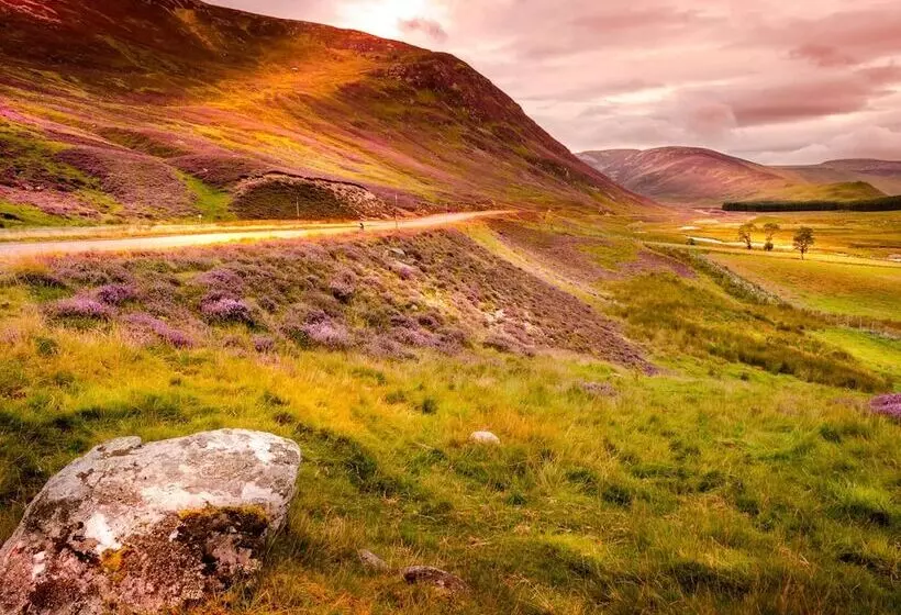 25 Langlands Terrace