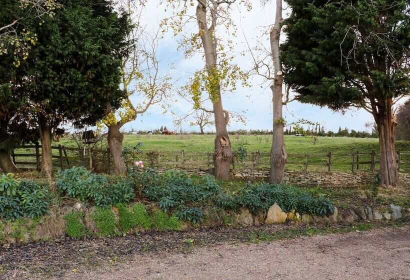 Manor Farm House Cottage