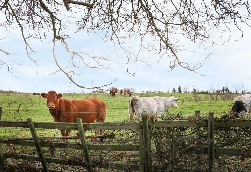 Manor Farm House Cottage