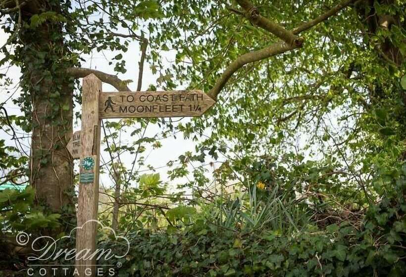 The Old Reading Room