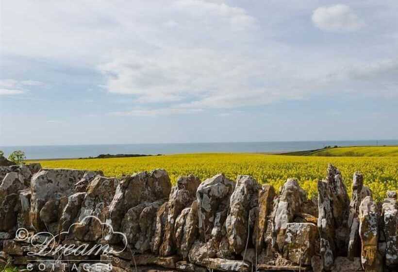 The Old Reading Room
