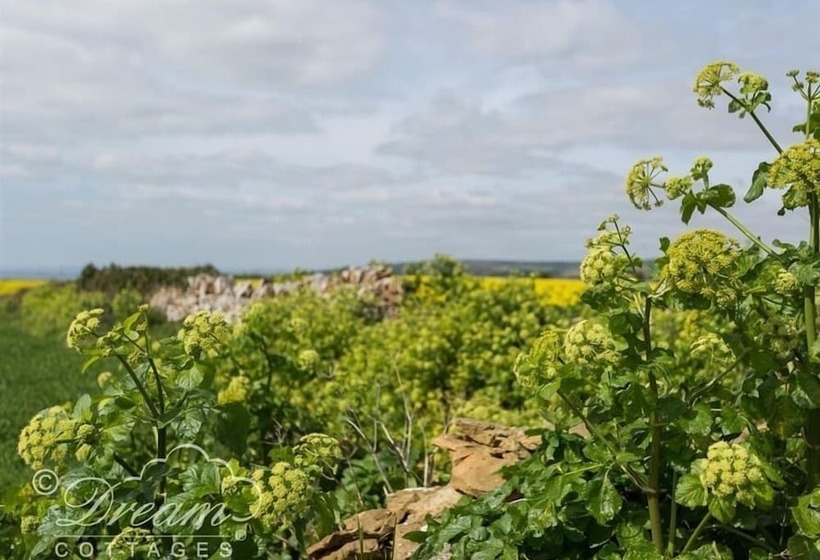 The Old Reading Room