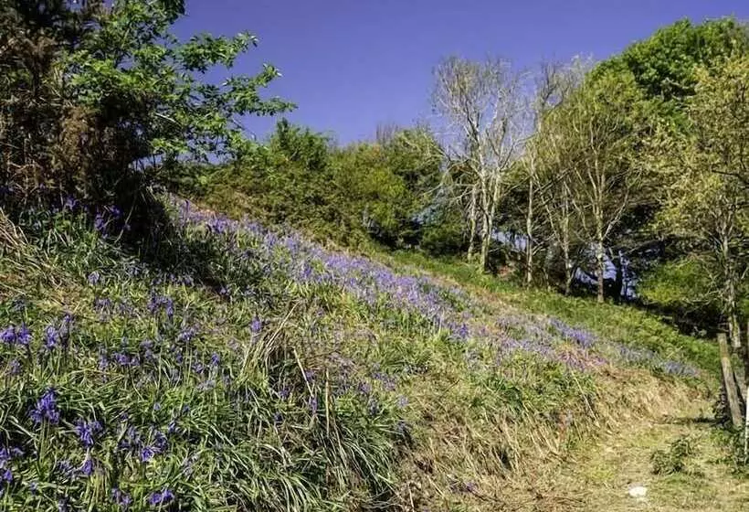 Valley View Farm Annexe