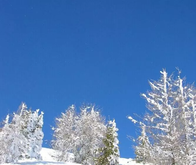 Holiday Residence Mesenhaus