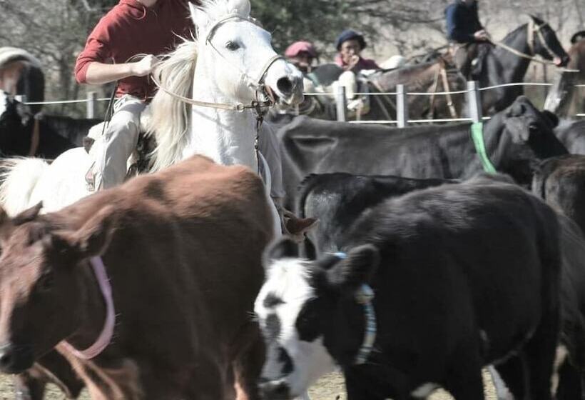 호텔 De Campo Granja El Aromo