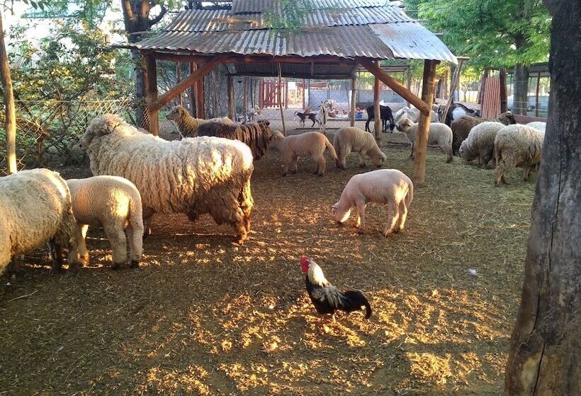 호텔 De Campo Granja El Aromo