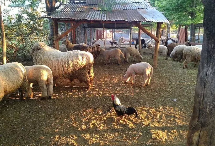 Hotelli De Campo Granja El Aromo