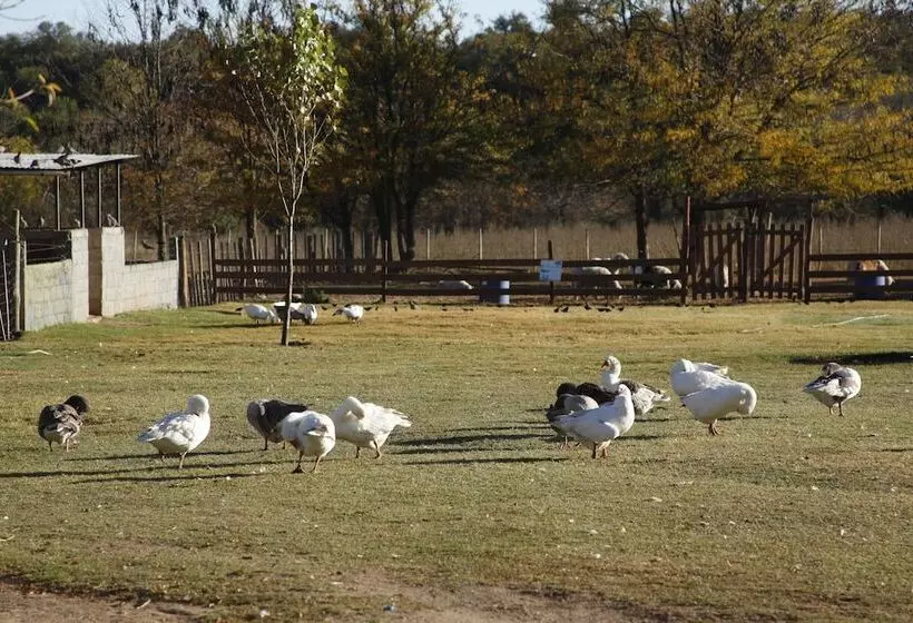 Hotelli De Campo Granja El Aromo