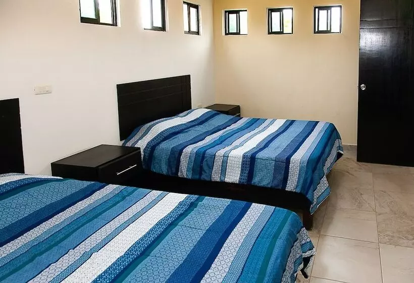 ホテル Huaxteca Inn