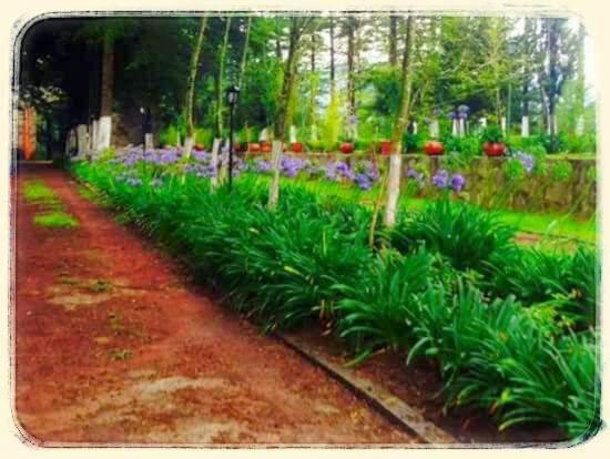 فندق Jardin Rincon De Las Estrellas