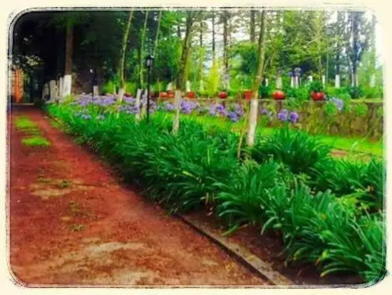 Hotelli Jardin Rincon De Las Estrellas