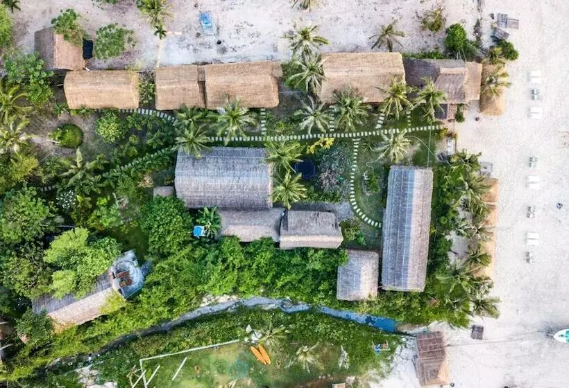 هتل Jungle Beach