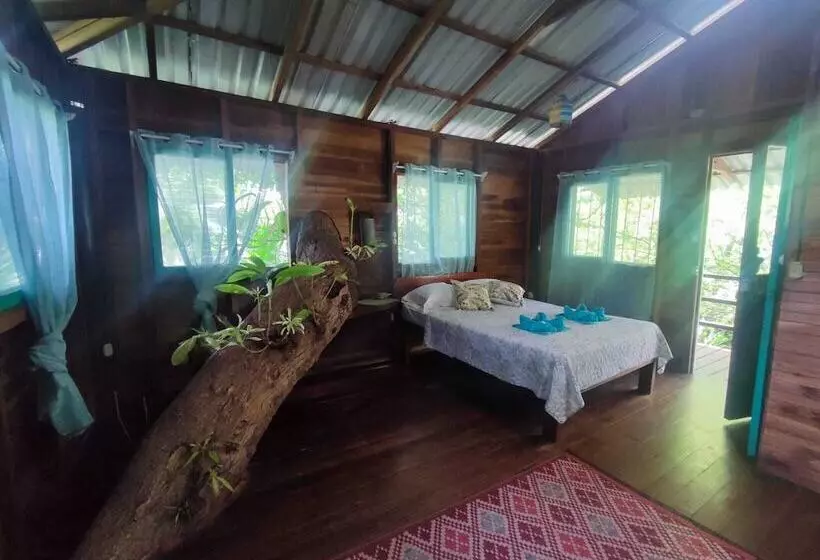 ホテル Playa Grande Lodge & Tree House
