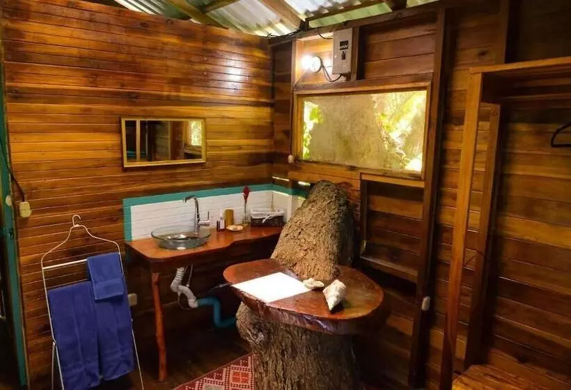ホテル Playa Grande Lodge & Tree House