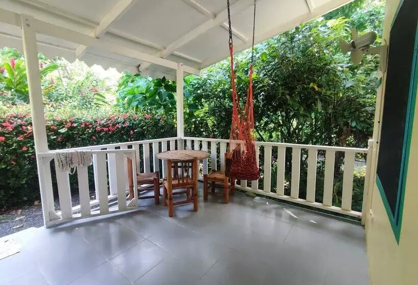 ホテル Playa Grande Lodge & Tree House
