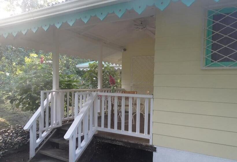 Hotel Playa Grande Lodge & Tree House