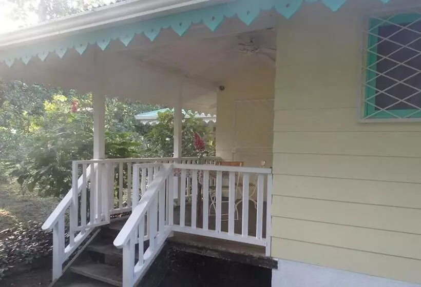 ホテル Playa Grande Lodge & Tree House
