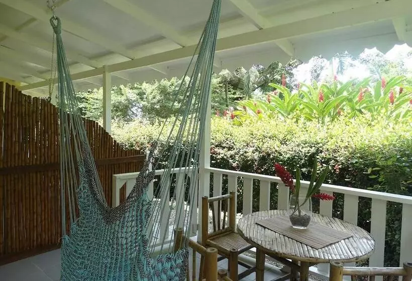 ホテル Playa Grande Lodge & Tree House