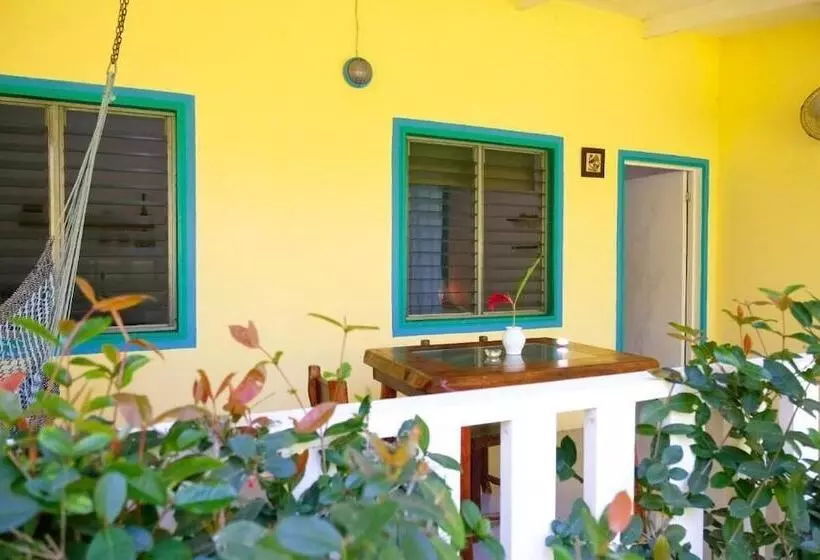 ホテル Playa Grande Lodge & Tree House