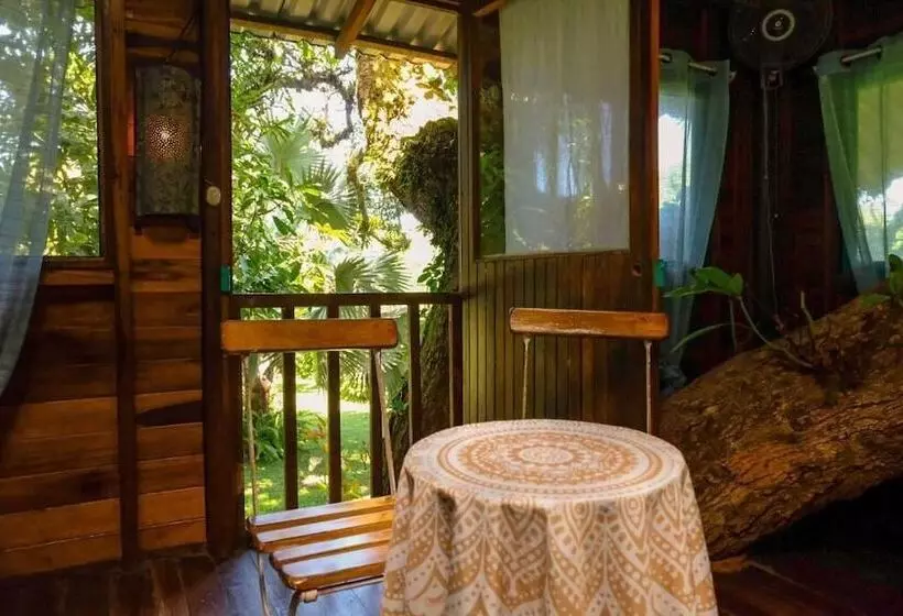 ホテル Playa Grande Lodge & Tree House