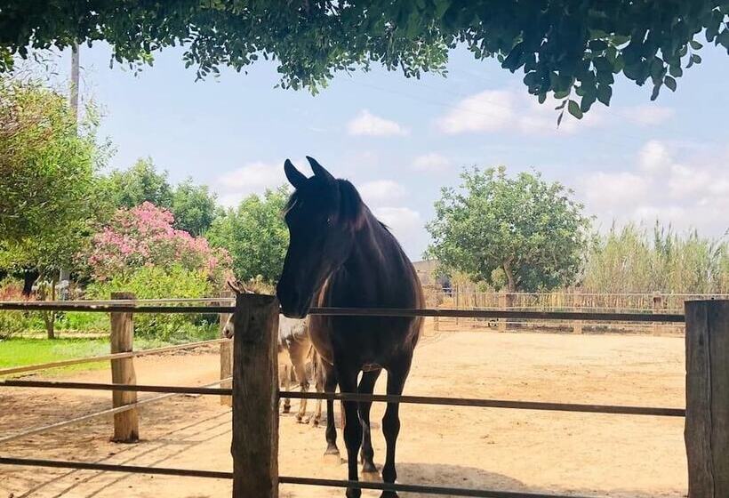 هتل روستایی Agroturismo Finca Sant Blai
