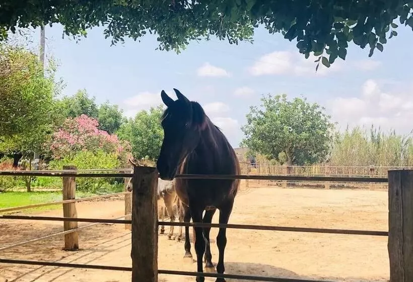 Maaseutuhotelli Agroturismo Finca Sant Blai