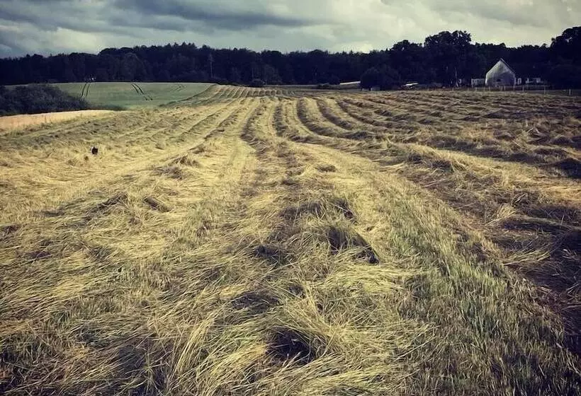 Katrinelund Bed And Breakfast