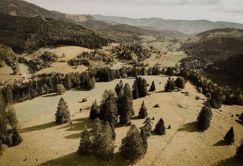 Lieblingsort Schwarzwald Chalets