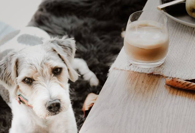 Lieblingsort Schwarzwald Chalets