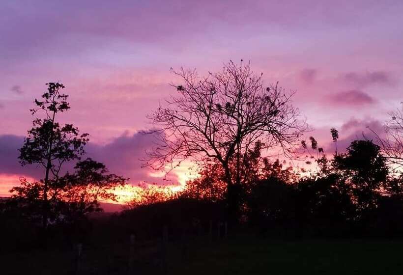 Little Paradise Hostel