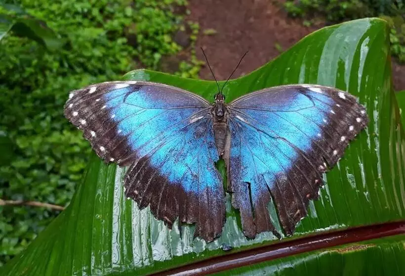 Little Paradise Hostel