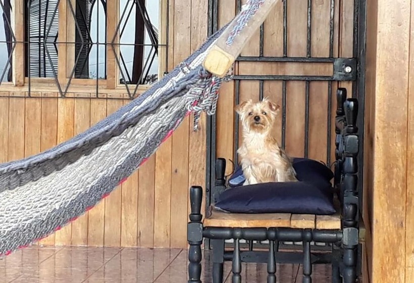 Little Paradise Hostel