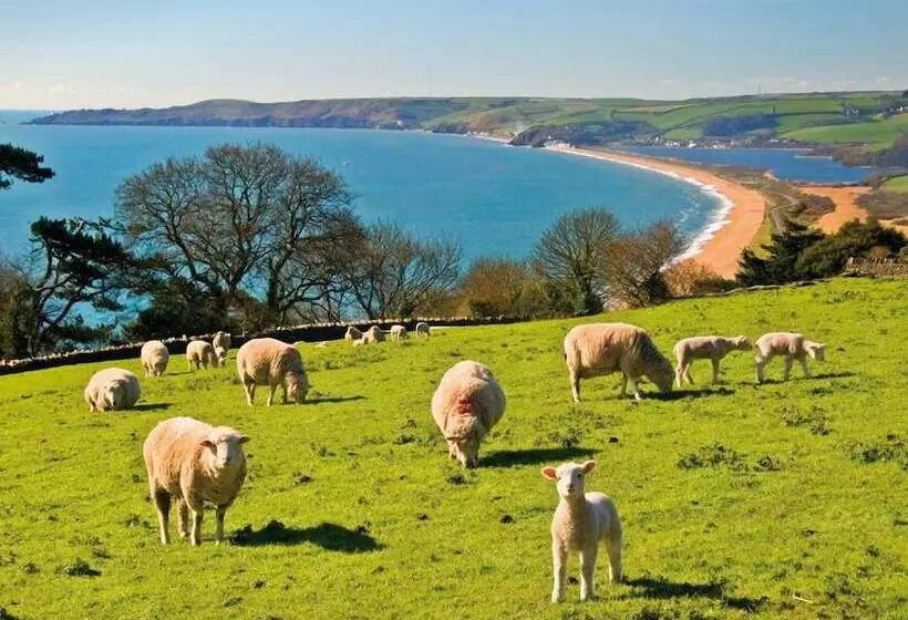 Moonrakers, Clarence Street