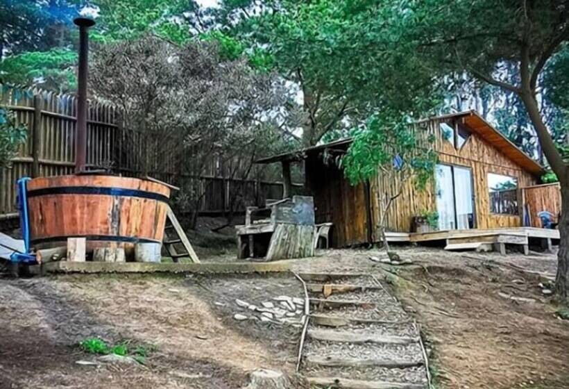 پانسیون Cabañas Buena Vista