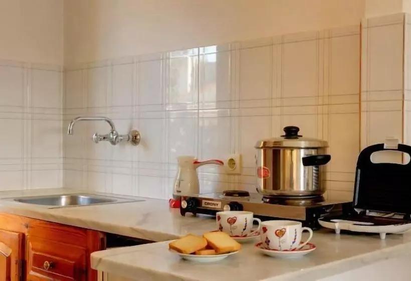 پانسیون Captain Spiros Studios