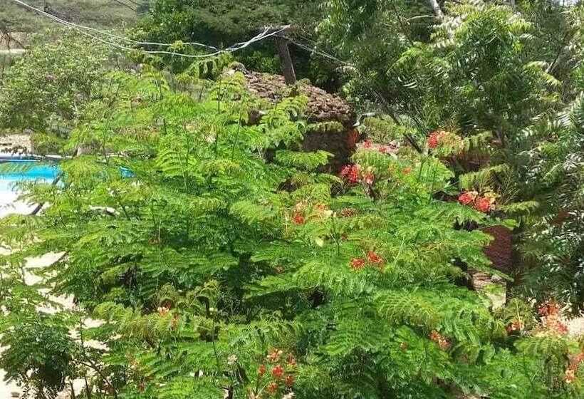 پانسیون Ecogranja Akiez